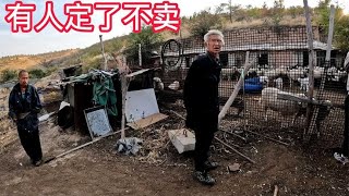 内蒙羊贩子来75岁大爷家买羊，相中3只羊羔，大爷说有人定了不卖