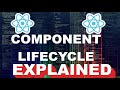 React Basics | Component Lifecycle FULL (with examples)