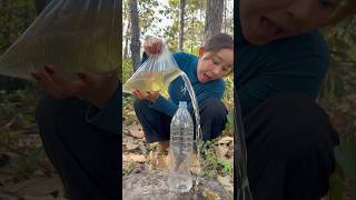 Survival Skills: easy methood saving water transfer to bottle #camping #bushcraft #water #smart