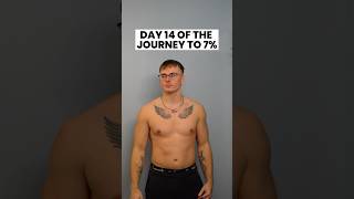 Day 14 of the journey to 7% body fat