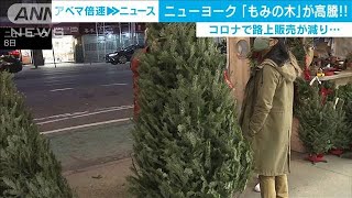 NYでクリスマスツリーが高騰　大規模山火事も原因(2020年12月9日)