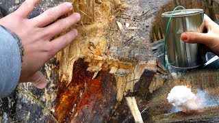 500g Danger Flash Powder/Bks GROUND SALUTE - Destroyed massive Tree trunk! DANGER EDITION [HD]