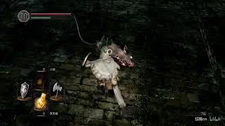 黑魂1 黑暗之魂 重制版 Dark Souls Remastered 不死镇 牛头恶魔 飞龙剑 射龙尾巴