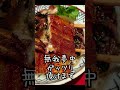 東京 有楽町 うな富士の肝入り上うなぎ丼 東京グルメ 東京うなぎ