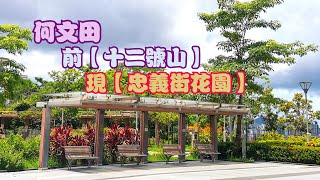 香港九龍-何文田【12號山】京士柏食水配水庫, 40分鐘走來回,全程輕鬆易行,風景優美。