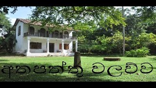 Atapattu Walawwa / අතපත්තු වලව්ව / sinhala /  ශ්‍රී ලංකාව / ගාල්ල / holman