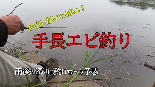 小雨の手長エビ釣り 濁った川でキビレも入れ食い！ 【那珂川】 夏休みの小物釣り