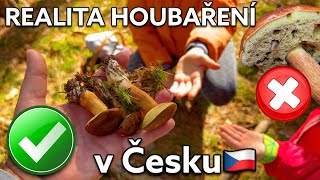 REALITA HOUBAŘENÍ V ČESKU! NÁŠ PODZIM 2024 NA HOUBÁCH