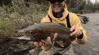 Alaska Roadside Trout Fishing