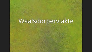 Waalsdorpervlakte