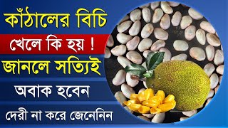 কাঁঠালের বিচি খেলে যা হয় এ সম্পর্কে আপনার ধারণাই নেই অবাক হবেন জানলে