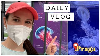 DAILY VLOG | Mergem în parc și vizităm un acvariu cu meduze din Praga