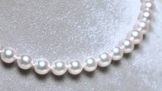 Akoya 18 inch Pearl Necklace 7-5-8mm Silver AA+ Quality 14K Gold