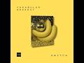 Vakabular & Dezzout -  Switch (Extended Mix)
