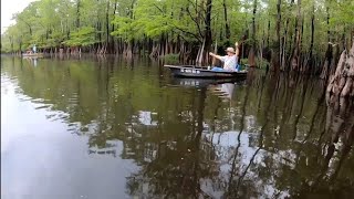 Fishing for Huge Bream On Little Pee Dee