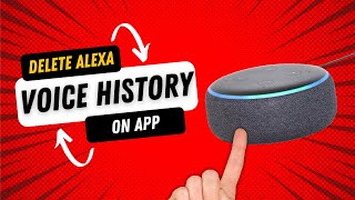 How to delete your entire Amazon Alexa voice history 2022