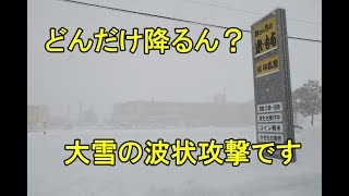 どんだけ降るん？大雪・2018