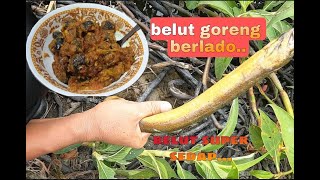 Mancing Belut#Tangkap Dan Masak [Belut Goreng Berlado]....