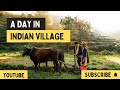 A Day in village | part - 1| YouTube Channel ❤