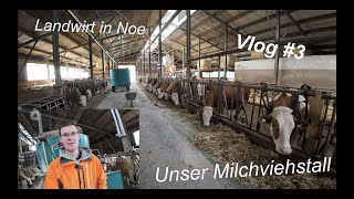 Vlog #2 I Unser Milchviehstall I Kurzer Rundgang 🐮