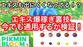 アプデ後、エキスも出にくくなったって本当？エキスを爆稼ぎできる裏技が今でも通用するか、大検証！！！【ピクミンブルーム / Pikmin Bloom 】