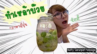 [How to] ทำเหล้าบ๊วยญี่ปุ่น Umeshu กินเอง ง่ายมาก สอนโดยคนญี่ปุ่น - NuttyNihongo