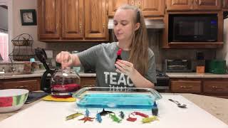 Ocean Currents Experiment