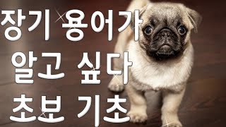 기본수의 장기 용어 정리/ 초보 기초