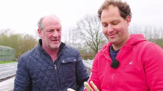 Hermus Proeft Het Noorden S01E01 Asperges steken en eten bij Meinardi in Noordbroek