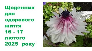 Щоденник важливих справ на городі, в садочку, на квітнику, для здоров'я 16-17 лютого 2025 року