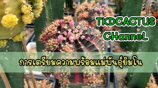 การเตรียมความพร้อมแม่พันธุ์ยิมโน2021 |  EP.5  By TKDCACTUS