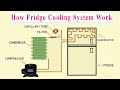 Fridge cooling system diagram  | Refrigerator cooling system