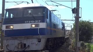 JR貨物 EF210-317号機（吹田）＋コキ24両　貨物列車5073レ（約12時間30分遅れ） 2020.09.12