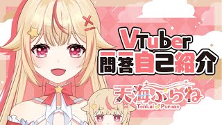 8/5デビュー！【自己紹介】Vtuber一問一答自己紹介 Ver.天海ぷらね／Vtuber Q\u0026A self introduction【新人VTuber】