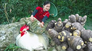 RESCUE Poor Animal! Accident While Harvesting Ginger in Deep Forest | Ella Daily Life