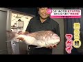 【魚の宝庫】朝どれ地魚海鮮丼＆御膳！東京湾岸物語『every.特集』