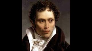 Best 10 Quotes by Arthur Shopenhauer. Philosophical Pessimism. Greatest Quotes on Life. #MotEmotinal