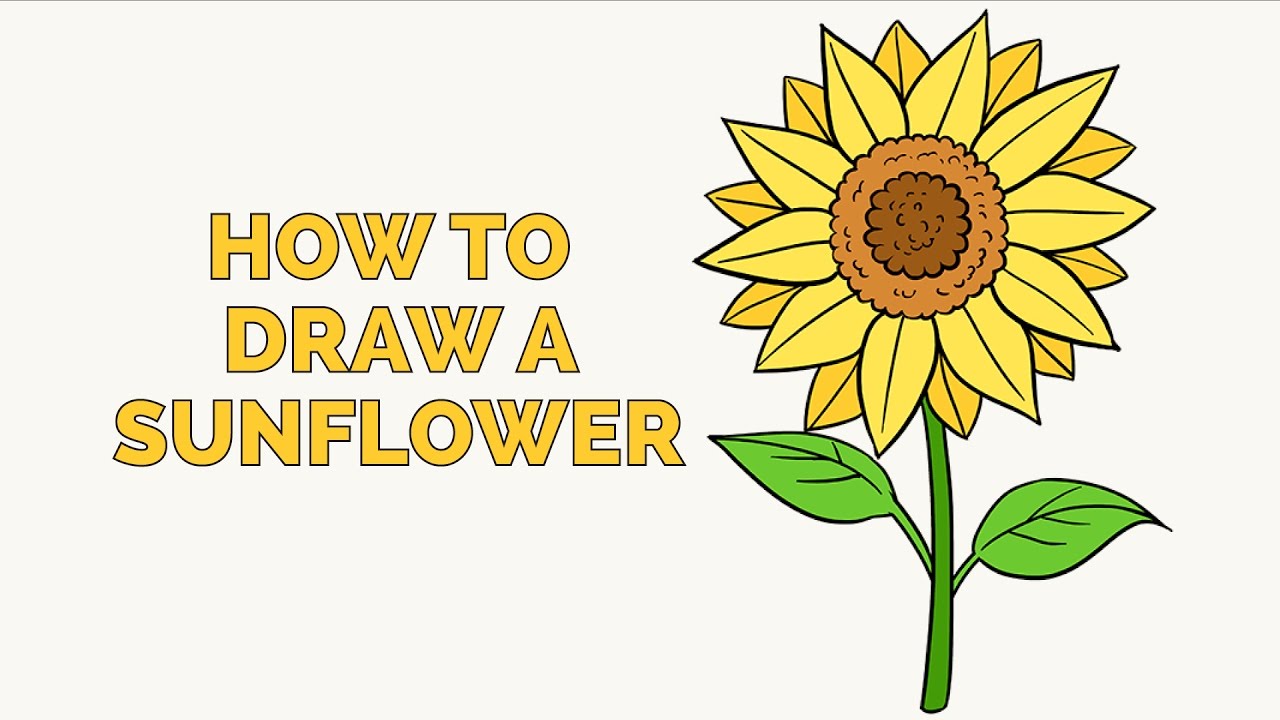 How To Draw A Sunflower - Easy Step-by-Step Drawing Tutorial For ...