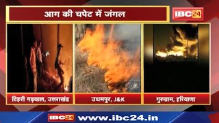 Fire Incident : गर्मी में आग का 'तांडव' | आग की चपेट में जंगल