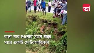 পিলে চমকে দিল ‘মৃত’ চিতাবাঘ