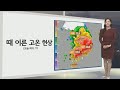 [생활날씨] 내일 때 이른 더위…밤사이 서쪽 짙은 안개 유의 / 연합뉴스TV (YonhapnewsTV)