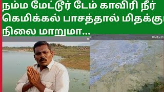 நம்ம மேட்டூர் டேம் காவிரி நீர் கெமிக்கல் பாசம் மிதக்கும் நிலை மாறுமா..