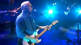 David Gilmour " Guitarist Extraordinaire "