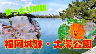 【観光】福岡城跡（舞鶴公園）・大濠公園のご紹介です！福岡市内にあるでっかい公園です！！