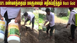 Black Gold உரத்தை  நமே தயாரிக்க இந்த ஒரு வீடியோ போதும்/ one video is enough to make our own compost