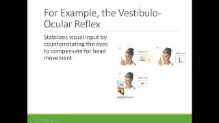 Sensation & Perception: Vestibular Sense (1 of 4)
