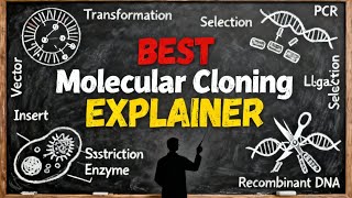 BEST Molecular Cloning EXPLAINER