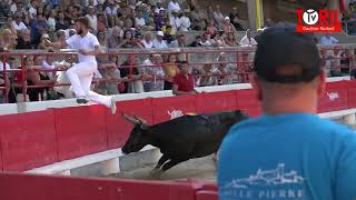 BEAUCAIRE 24 juillet 2022 - Course Camarguaise. 2ème journée Palme d'or