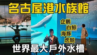 名古屋港水族館｜名古屋一日遊 海豚 企鵝 白鯨 虎鯨 海龜 世界最大戶外水槽