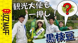 【豆好き必見】超レアな黒い枝豆！？を発見！（となりの近畿）